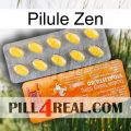 Zen Pill new05